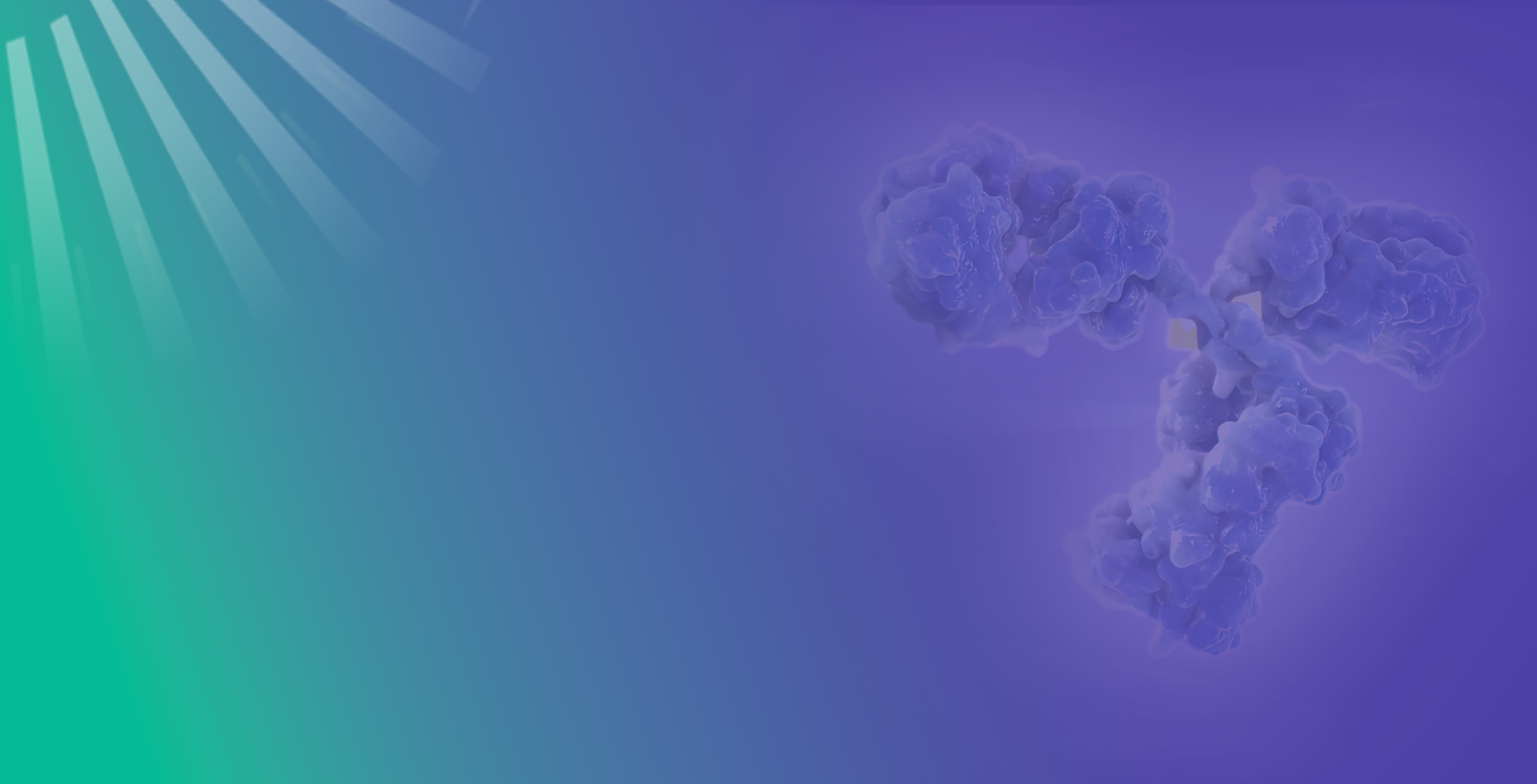 Recombinant Protein​